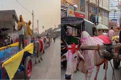 बैलगाड़ी से निकली बारात ने देसी थीम वाली शादी की ताजा की यादें