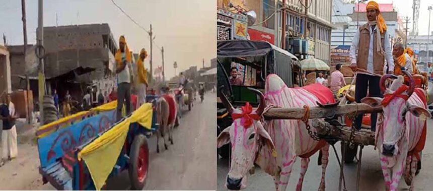 बैलगाड़ी से निकली बारात ने देसी थीम वाली शादी की ताजा की यादें