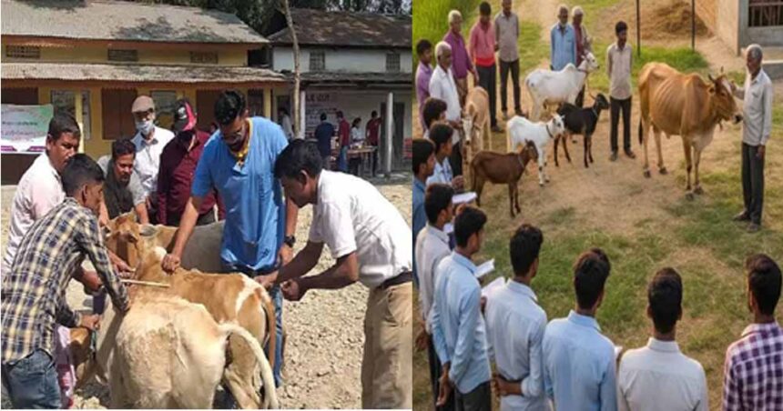 बिहार में पशुपालन मित्रों की नियुक्ति से ग्रामीण युवाओं को मिलेगा रोजगार