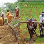 गुजराती सहकारी मॉडल से बिहार में होगी जैविक खेती और ग्रामीण विकास