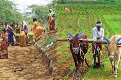 गुजराती सहकारी मॉडल से बिहार में होगी जैविक खेती और ग्रामीण विकास