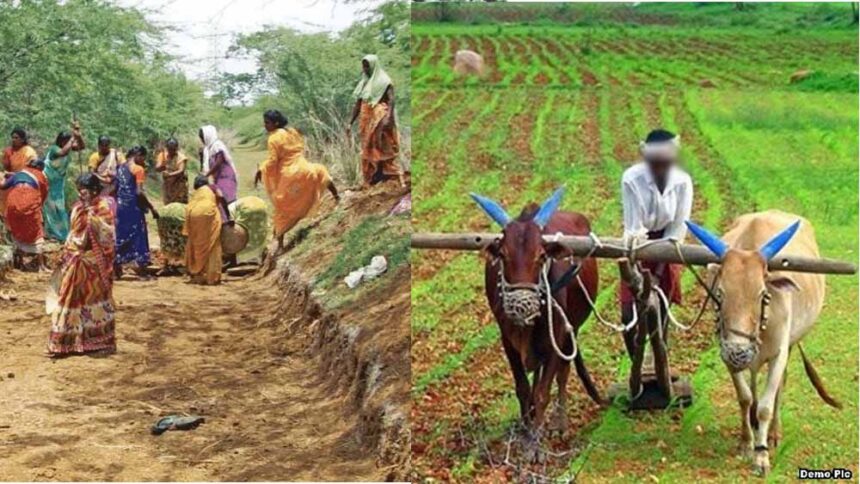 गुजराती सहकारी मॉडल से बिहार में होगी जैविक खेती और ग्रामीण विकास