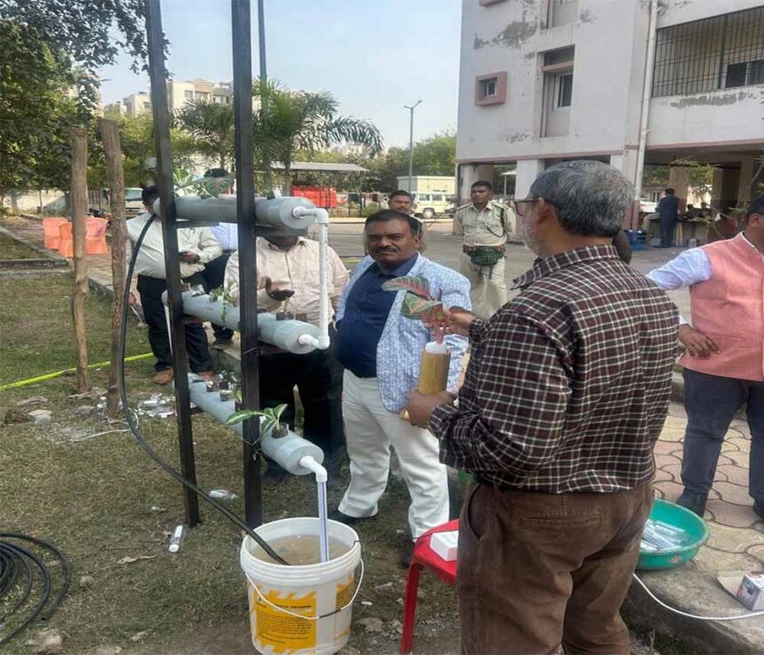 शहरी खेती का नया मॉडल: हाइड्रोपोनिक्स से टेरेस गार्डन में हरियाली