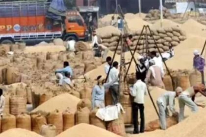 धान उपार्जन में फर्जीवाड़ा करने वाले राइस मिल के मुंशी समेत 4 गिरफ्तार