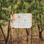 हरित पहल को बढ़ावा: वन विकास निगम–एनएमडीसी बचेली के बीच 50 हजार पौधों के रोपण का