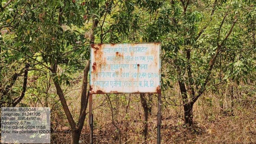 हरित पहल को बढ़ावा: वन विकास निगम–एनएमडीसी बचेली के बीच 50 हजार पौधों के रोपण का