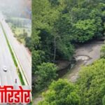 फतेहाबाद में 15 हजार पौधों के ‘हरित मॉडल’ से 4 डिग्री गिरा तापमान