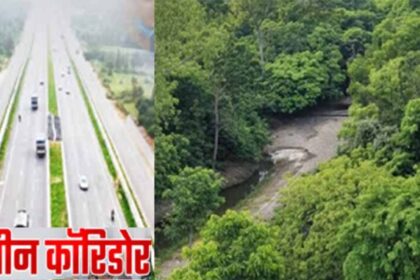 फतेहाबाद में 15 हजार पौधों के ‘हरित मॉडल’ से 4 डिग्री गिरा तापमान