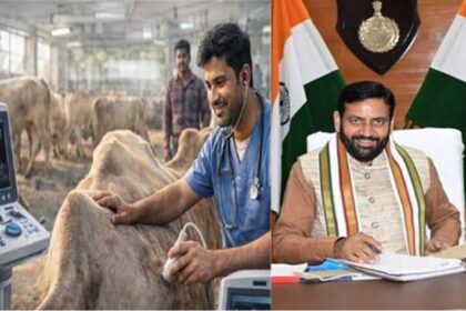 हरियाणा में पशुओं की गैस एनेस्थीसिया और अल्ट्रासाउंड मशीन आएंगी