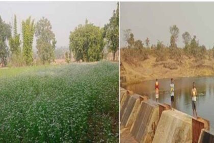 जल संरक्षण की ताकत: मोर गांव मोर पानी अभियान ने बदली 45 परिवारों की तस्वीर