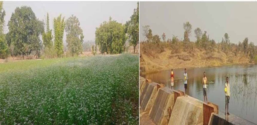 जल संरक्षण की ताकत: मोर गांव मोर पानी अभियान ने बदली 45 परिवारों की तस्वीर