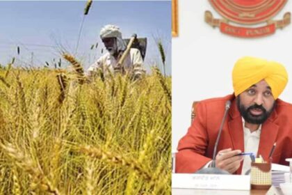 पंजाब में सीमावर्ती किसानों को सरकारी जमीन पर मुआवजे का मिलेगा हक