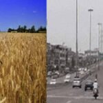 पंजाब में फरवरी में मार्च-अप्रैल जैसी गर्मी का एहसास