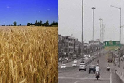 पंजाब में फरवरी में मार्च-अप्रैल जैसी गर्मी का एहसास