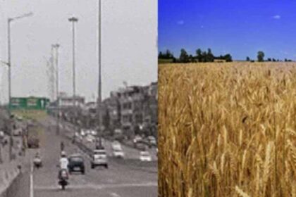 पंजाब में रात और सुबह हो रहा गुलाबी ठंड का एहसास