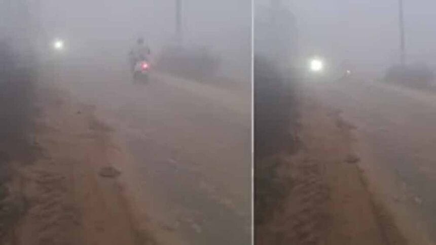 पंजाब में कोहरे और लो-विजिबिलिटी की मार झेल रही जनता