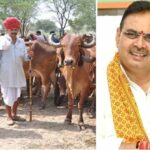 मंगला पशु बीमा योजना में 21 हजार पशुओं का होगा बीमा