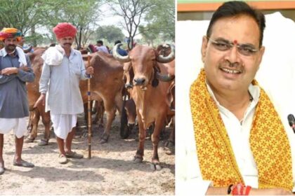 मंगला पशु बीमा योजना में 21 हजार पशुओं का होगा बीमा