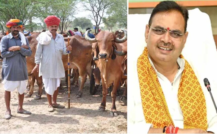 मंगला पशु बीमा योजना में 21 हजार पशुओं का होगा बीमा