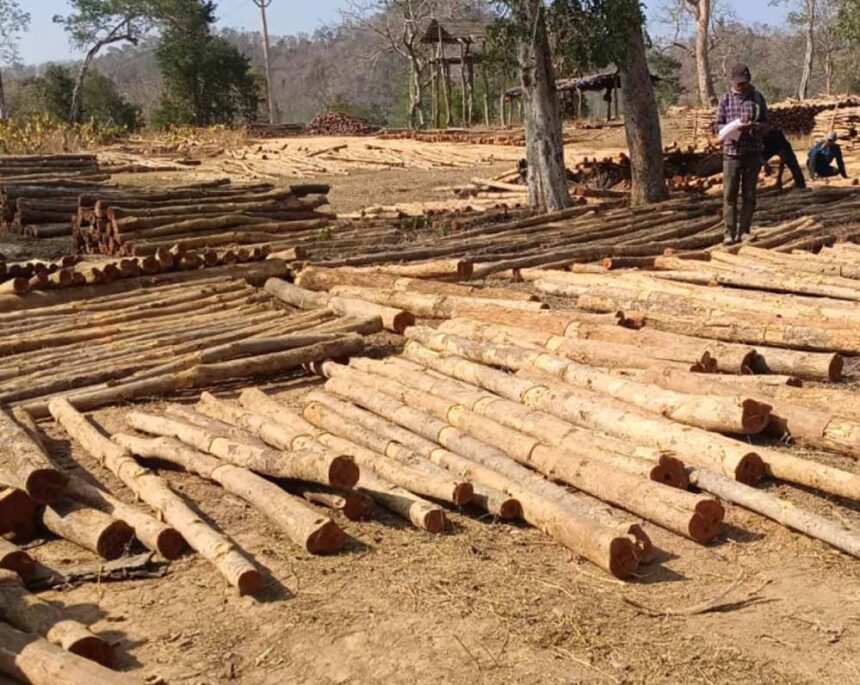 वन विकास निगम में ‘डिजिटल क्रांति‘ और ‘रोजगार संगम‘ का सफल मॉडल