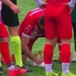 इंसानियत की मिसाल: फुटबॉलर ने मैच रोककर पक्षी को दिया CPR, सोशल मीडिया पर छाया व