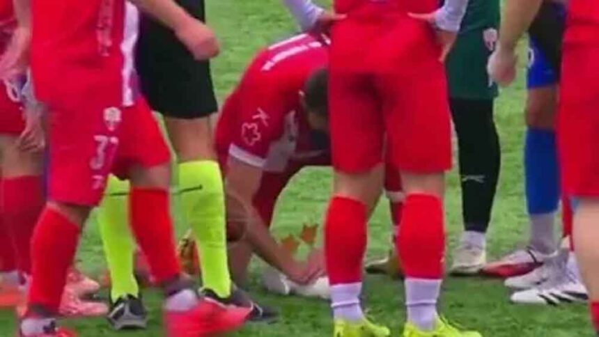 इंसानियत की मिसाल: फुटबॉलर ने मैच रोककर पक्षी को दिया CPR, सोशल मीडिया पर छाया व