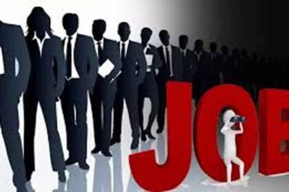 बिना देर किए करें आवेदन! नामी कंपनियां देंगी नौकरी, 6 दिवसीय रोजगार मेला शुरू