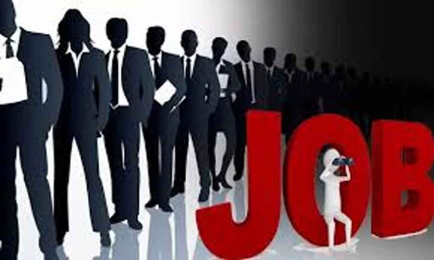 बिना देर किए करें आवेदन! नामी कंपनियां देंगी नौकरी, 6 दिवसीय रोजगार मेला शुरू