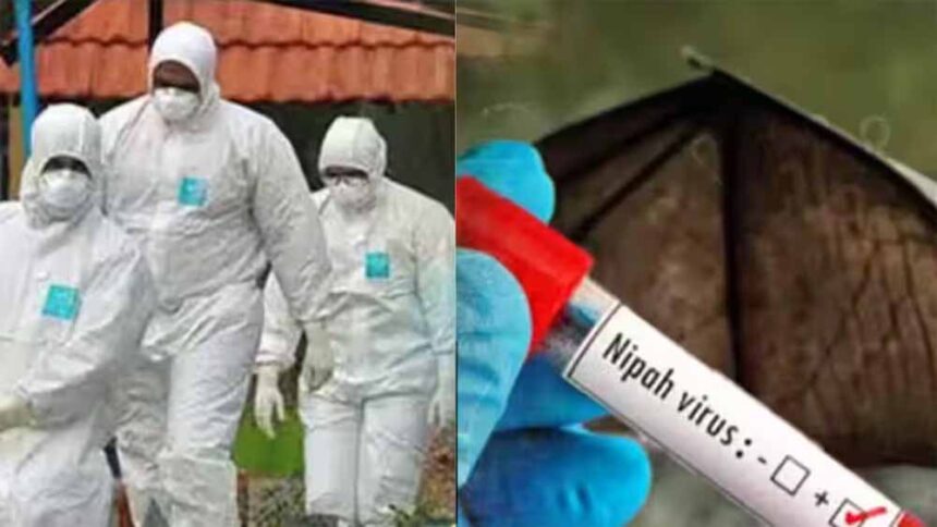 निपाह का खतरा: संदिग्ध संक्रमण के बीच नर्स की मौत, रिपोर्ट आई निगेटिव 1 निपाह का खतरा: संदिग्ध संक्रमण के बीच नर्स की मौत, रिपोर्ट आई निगेटिव