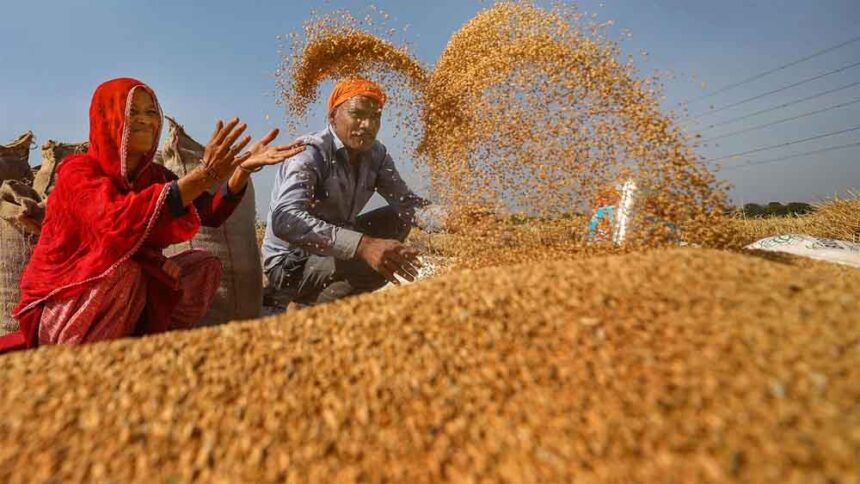 20 हजार से अधिक किसानों ने समर्थन मूल्य पर गेहूँ उपार्जन के लिये कराया पंजीयन :