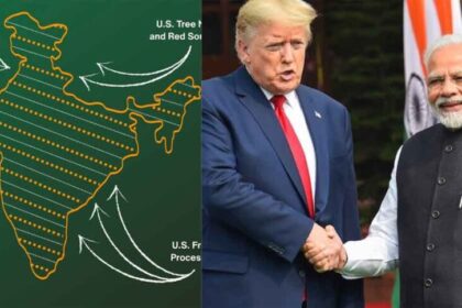 कश्मीर पर भारत का स्टैंड देख तिलमिलाया पाकिस्तान, US से लगाई मदद की गुहार