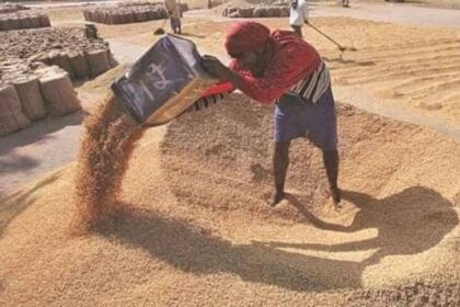 आष्टा मंडी में रबी सीजन की शुरुआत, 2585 रुपये MSP से किसानों की उम्मीदें बढ़ीं