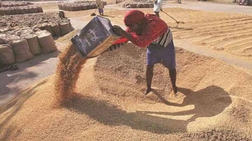 आष्टा मंडी में रबी सीजन की शुरुआत, 2585 रुपये MSP से किसानों की उम्मीदें बढ़ीं