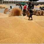 समर्थन मूल्य पर गेहूं खरीद की तैयारी तेज, 1.81 लाख किसानों ने कराया रजिस्ट्रेशन