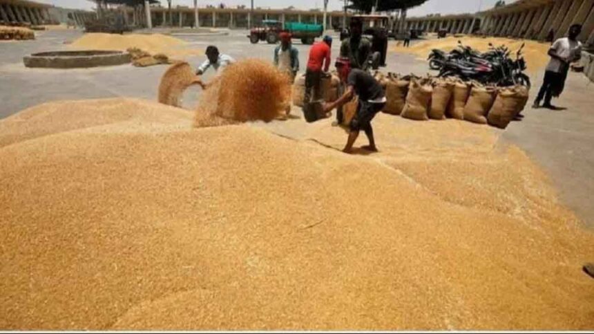 समर्थन मूल्य पर गेहूं खरीद की तैयारी तेज, 1.81 लाख किसानों ने कराया रजिस्ट्रेशन