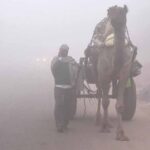 शेखावाटी में मौसम ने ली करवट, जानें आने वाले 7 दिन कैसा रहेगा हाल