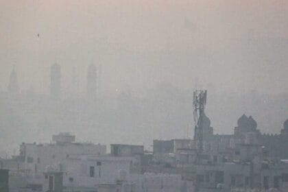 एमपी के 8 शहरों में पारा 10 डिग्री से नीचे, राजगढ़ में 7 डिग्री सेल्सियस तापमान,