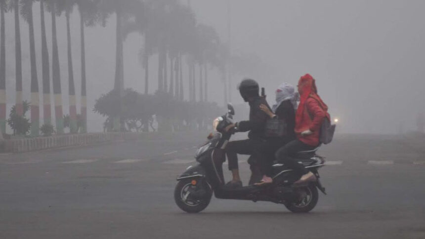 एमपी में ठंड ने पकड़ी रफ्तार, तापमान 10 डिग्री से कम, इंदौर-मुरैना में धूप, 8 फर