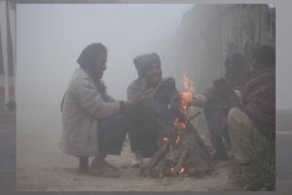 मध्यप्रदेश में सर्दी का असर: उमरिया में 7° तापमान, 10 जिलों में हल्का कोहरा, भोप