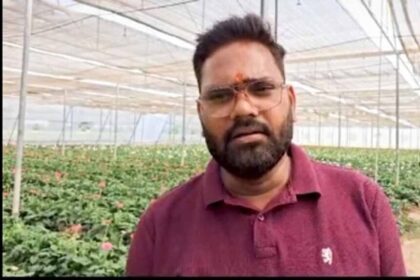 राष्ट्रीय बागवानी मिशन की मदद से बाराबंकी के नीरज पटेल बने आत्मनिर्भर