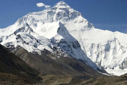 हिमालय के जंगलों में गिरावट, सरकारी रिपोर्ट ने किया खुलासा- 2 साल में 2.2% ग्रीन