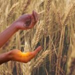 खाद्य मंत्री राजपूत का ऐलान, इंदौर, उज्जैन, भोपाल और नर्मदापुरम संभाग में 1 अप्र