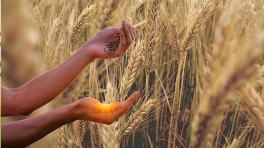 खाद्य मंत्री राजपूत का ऐलान, इंदौर, उज्जैन, भोपाल और नर्मदापुरम संभाग में 1 अप्र