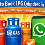 घर बैठे WhatsApp, ऐप और कॉल से LPG सिलेंडर कैसे बुक करें, लंबी लाइन से बचने का त