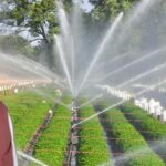 सीएम भगवंत मान ने किया खुलासा, पंजाब में नहर सिंचाई 78 प्रतिशत तक पहुंची