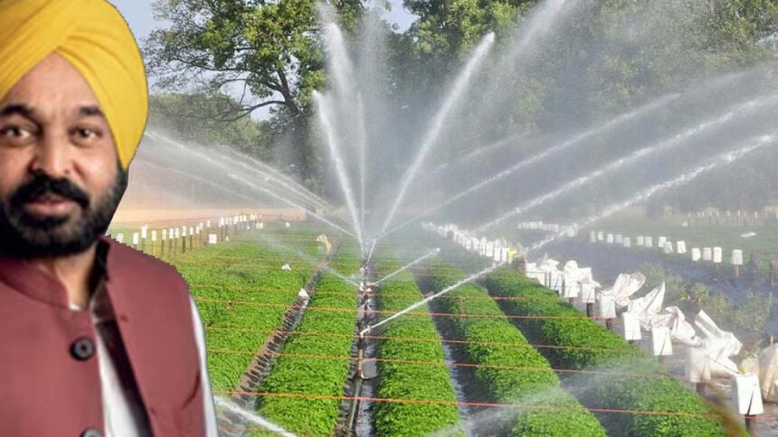 सीएम भगवंत मान ने किया खुलासा, पंजाब में नहर सिंचाई 78 प्रतिशत तक पहुंची