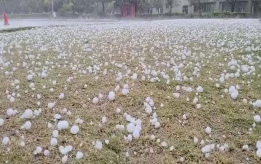 ओलावृष्टि और बारिश से 42 जिलों में फसलों की तबाही, 14 जिलों में आज भी जारी है खत