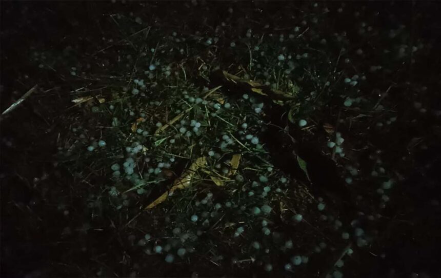 जरही में कुदरत का कहर, आंधी तूफान वा बारिश के साथ गिरे ओले