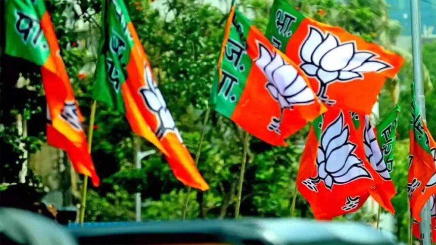 Puducherry Elections: BJP की पहली लिस्ट जारी, 9 उम्मीदवारों के नाम सामने