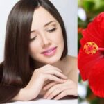 ब्यूटी रूटीन में गुड़हल क्यों है ज़रूरी? जानें स्किन और बालों के बेहतरीन लाभ